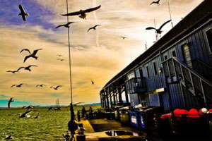 DDOS在线攻击平台